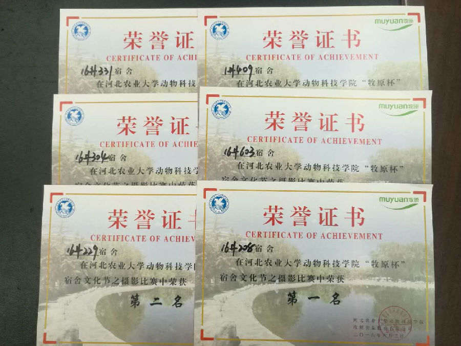 攝影.jpg